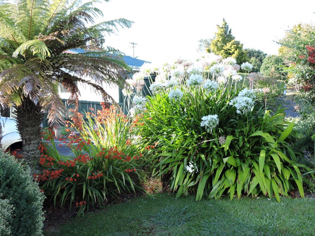 Maple Lodge Motel Matamata Ngoại thất bức ảnh