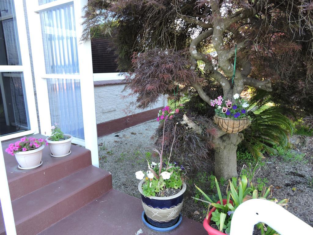 Maple Lodge Motel Matamata Ngoại thất bức ảnh